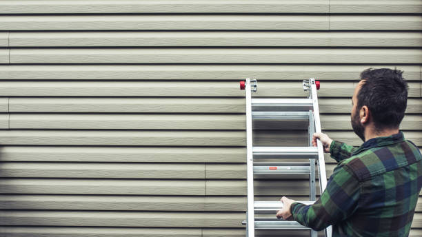 Best Brick Veneer Siding  in Guntersville, AL