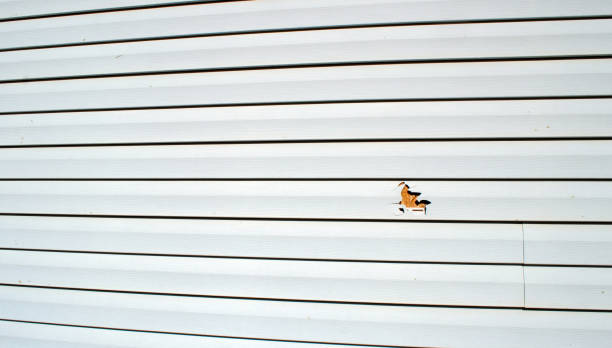 Best Residential Vinyl Siding Installation  in Guntersville, AL