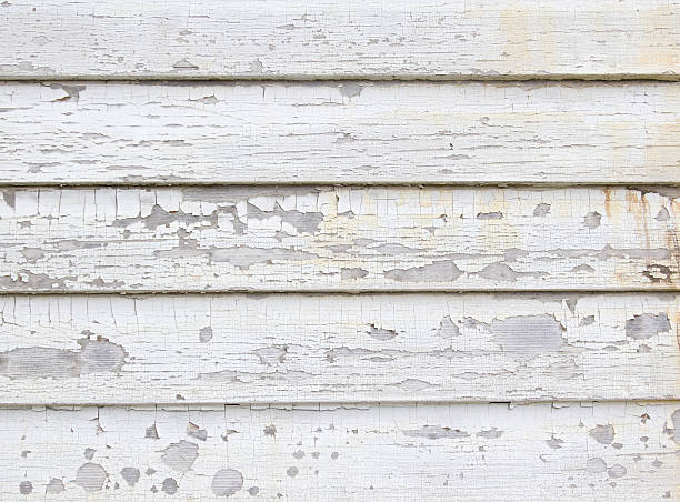 Best Insulated Siding Installation  in Guntersville, AL