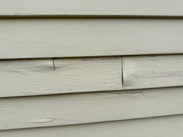 Best Stone Veneer Siding  in Guntersville, AL
